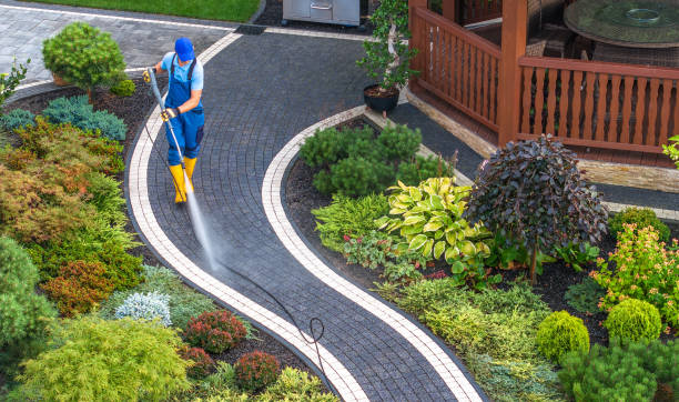 Best Power Washing Near Me  in Thunderbolt, GA